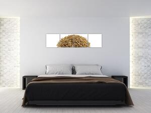 Pšenica, obraz (Obraz 160x40cm)