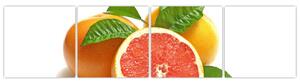 Grapefruit, obraz (Obraz 160x40cm)