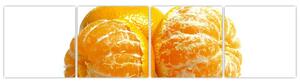 Pomaranče, obraz (Obraz 160x40cm)