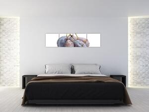 Slivky, obraz (Obraz 160x40cm)