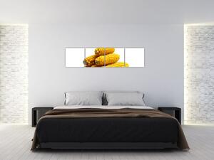 Kukurica, obraz (Obraz 160x40cm)