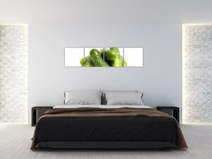 Kyslé uhorky, obraz (Obraz 160x40cm)