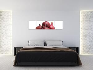 Cibuľa červená, obraz (Obraz 160x40cm)