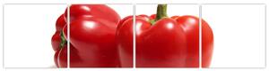 Paprika červená, obraz (Obraz 160x40cm)