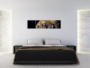 Leopard, obraz (Obraz 160x40cm)
