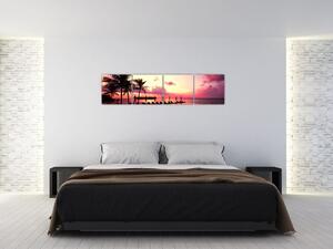 Západ slnka v exotike - obraz (Obraz 160x40cm)