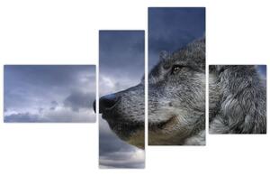 Obraz vlka (Obraz 110x70cm)