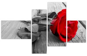 Obraz ruže s červeným kvetom (Obraz 110x70cm)