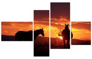 Obraz - kone pri západe slnka (Obraz 110x70cm)
