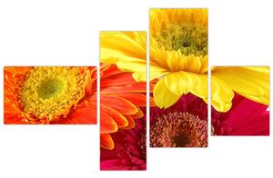 Obraz kvetov (Obraz 110x70cm)