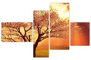 Obraz prírody - strom (Obraz 110x70cm)