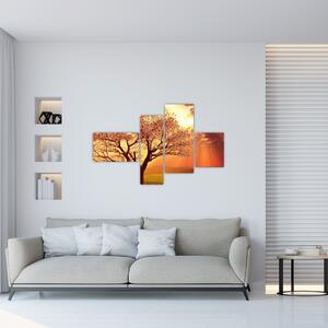 Obraz prírody - strom (Obraz 110x70cm)