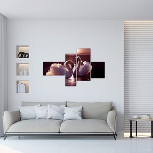 Moderný obraz - labute (Obraz 110x70cm)