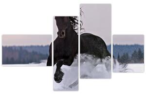 Obraz kone v snehu (Obraz 110x70cm)