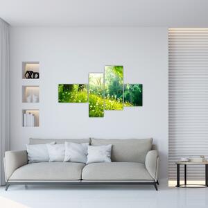 Moderné obrazy prírody (Obraz 110x70cm)
