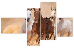 Obrazy bežiacich koní (Obraz 110x70cm)