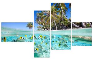 Obraz tropického mora (Obraz 110x70cm)