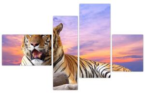 Obraz ležiaceho tigra (Obraz 110x70cm)