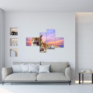Obraz ležiaceho tigra (Obraz 110x70cm)