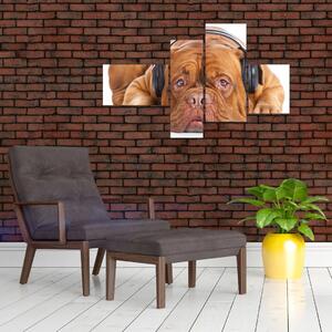 Moderný obraz - pes so slúchadlami (Obraz 110x70cm)