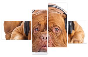 Moderný obraz - pes so slúchadlami (Obraz 110x70cm)