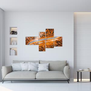 Cesta lesom - moderné obrazy na stenu (Obraz 110x70cm)