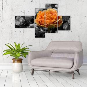 Oranžový kvet na čiernobielom pozadí - obraz (Obraz 110x70cm)