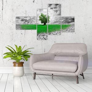 Zelený ostrov vo vyprahnutej krajine - obrazy do obývačky (Obraz 110x70cm)