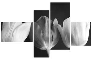 Čiernobiely obraz - tri tulipány (Obraz 110x70cm)