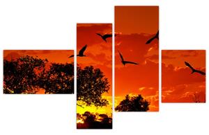 Obraz zapadajúceho slnka s vtákmi (Obraz 110x70cm)