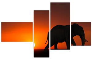 Obraz slona v zapadajúcom slnku (Obraz 110x70cm)