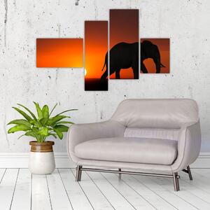 Obraz slona v zapadajúcom slnku (Obraz 110x70cm)