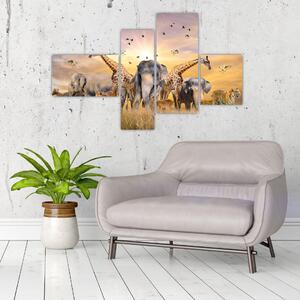 Obraz - safari (Obraz 110x70cm)