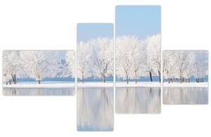 Obraz - zimná príroda (Obraz 110x70cm)