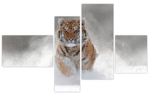 Obraz bežiaceho tigra (Obraz 110x70cm)