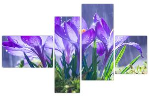 Obraz kvetov pri daždi (Obraz 110x70cm)