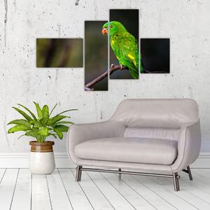 Obraz zeleného papagája (Obraz 110x70cm)