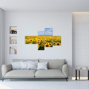 Obraz - slnečnica (Obraz 110x70cm)