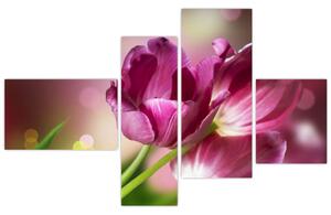 Obraz tulipánov (Obraz 110x70cm)