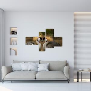 Obraz na stenu - zvieratá (Obraz 110x70cm)