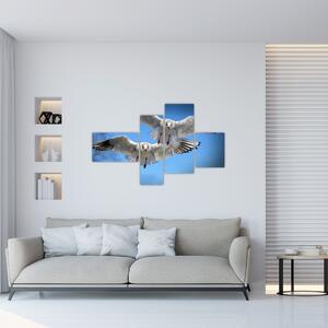 Obraz do bytu - vtáky (Obraz 110x70cm)