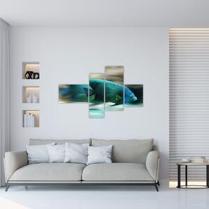 Obraz na stenu - ryby (Obraz 110x70cm)