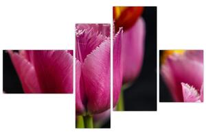 Tulipány - obrazy (Obraz 110x70cm)