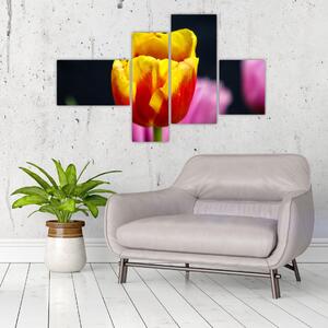 Obraz tulipánu (Obraz 110x70cm)
