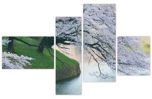 Obraz kvitnúcich stromov (Obraz 110x70cm)