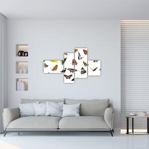Obrazy motýľov (Obraz 110x70cm)