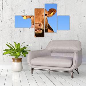 Obraz kravy (Obraz 110x70cm)