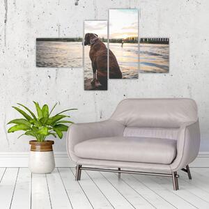 Obraz - sediaci pes (Obraz 110x70cm)