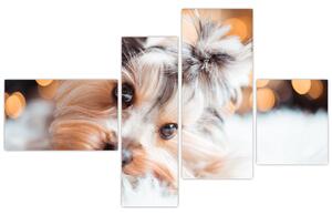 Obraz psa (Obraz 110x70cm)