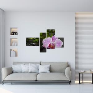 Moderný obraz kvetu (Obraz 110x70cm)